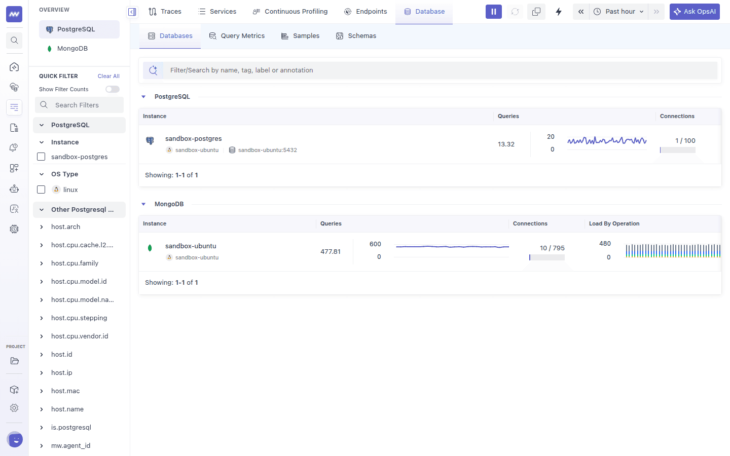 Databases tab with PostgreSQL and MongoDB sections, each listing an instance with query sparkline, connections and load