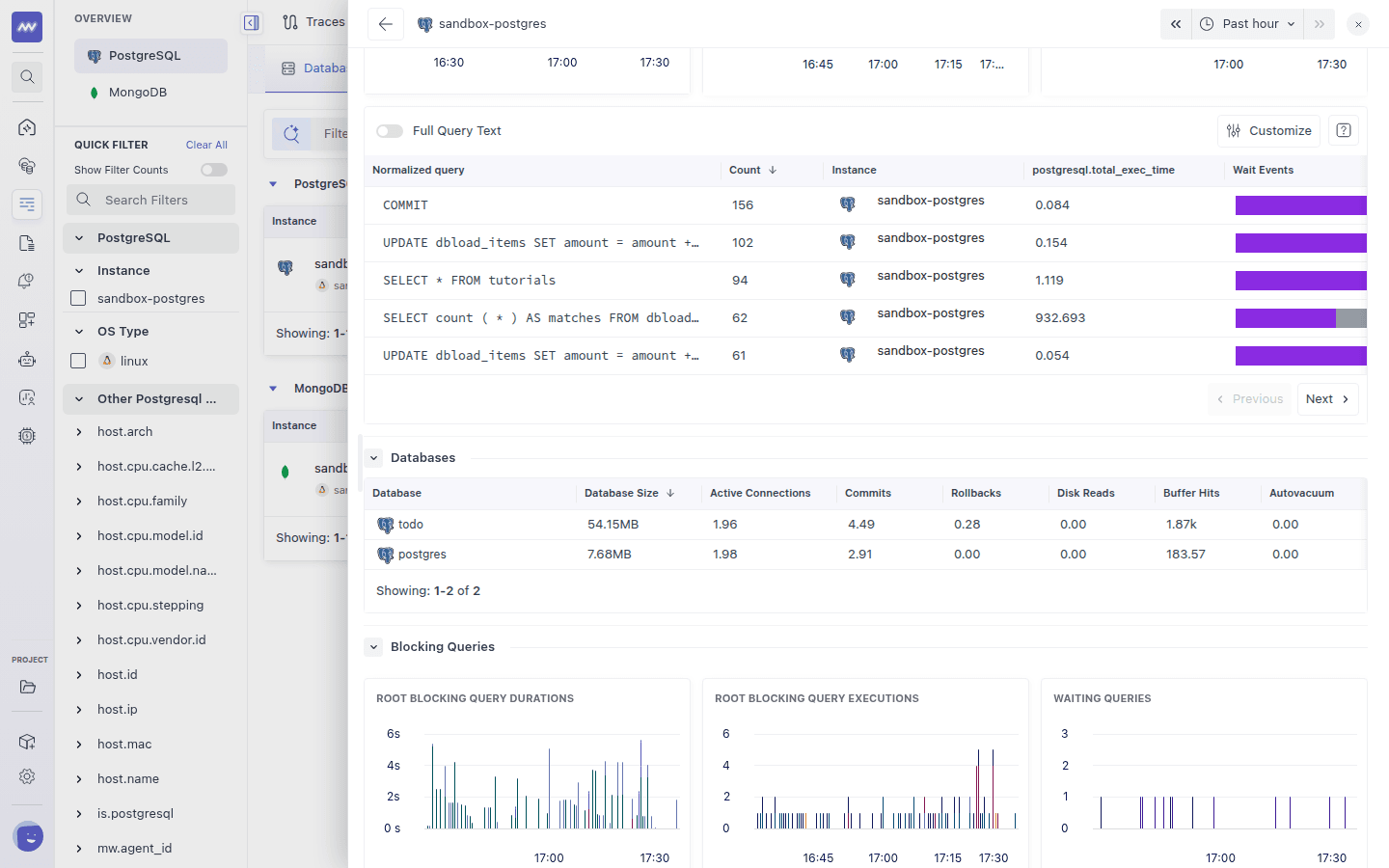 PostgreSQL instance Databases table with size, connections, commits, rollbacks and buffer hits, above the Blocking Queries charts