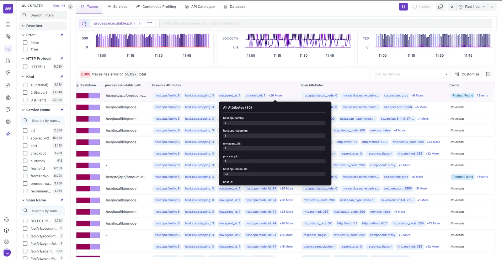 APM: Option to add any attributes as column