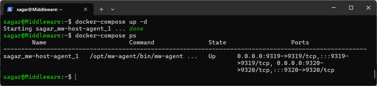Docker Agent