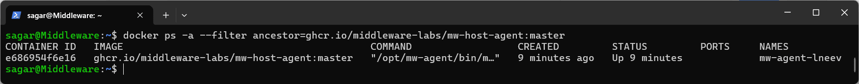 Docker Agent