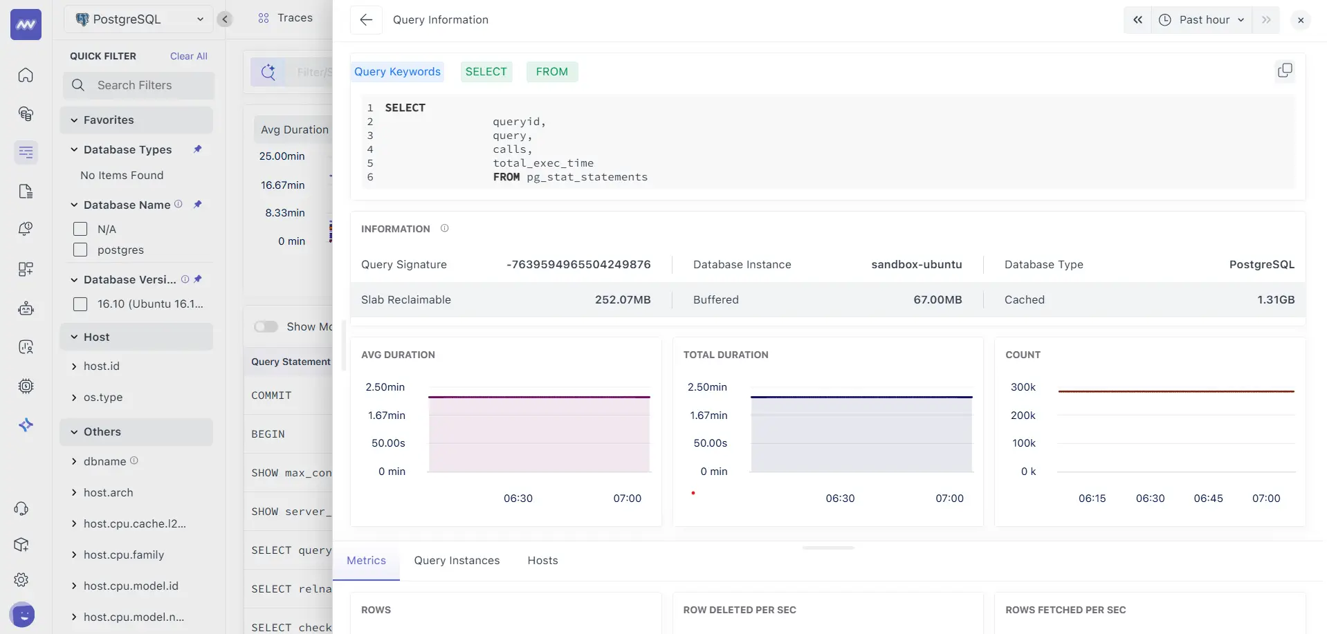 Query Information panel showing query details, impact, metrics, and host memory context