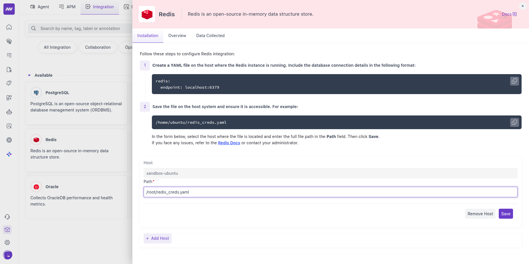 Redis Host